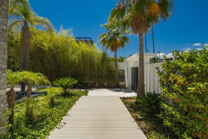 DSC02317-Large (Petite)