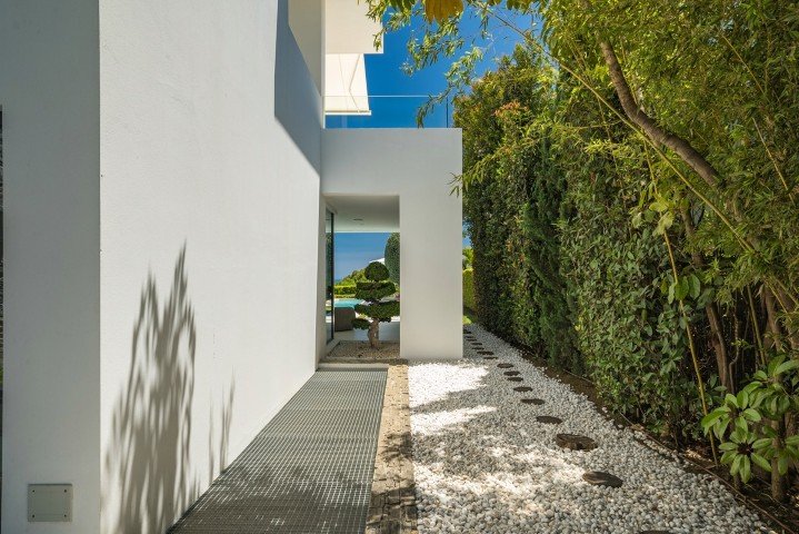 DSC02321-Large (Petite)