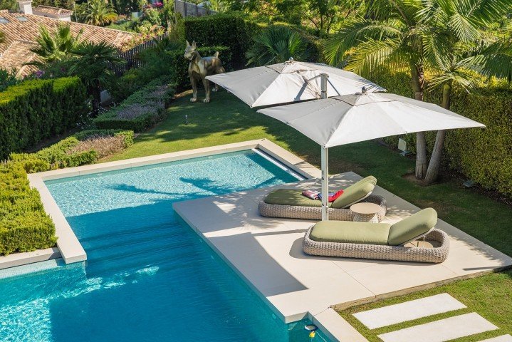 DSC02482-Large (Petite)