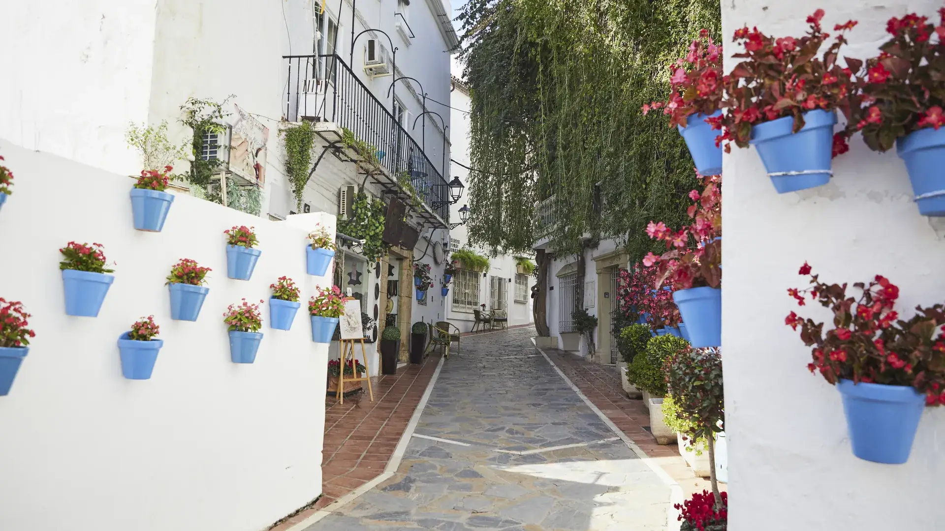 Marbella old town street with blue flower pots